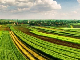 Первая объединенная громада в Добропольском районе получила землю в коммунальную собственность