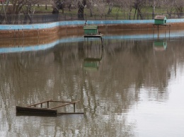 В нижнем пруду парка Победы впервые за 12 лет спускают воду: мусорные урны, покрышки и десятки дохлых черепах