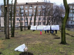 Ради строительства ТРЦ Кальцева удалят более 500 деревьев и около 1800 кустов