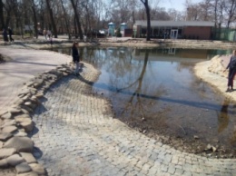 В городском парке осушили пруд (фото)