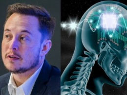 Стартап Илона Маска, обещающий подключить мозг человека к компьютеру, начнет испытания на животных