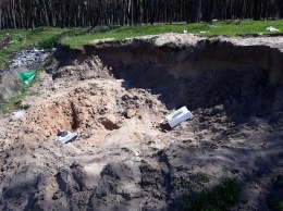Под Николаевом лес «утонул» в мусоре: местные жители бьют тревогу, опасаясь экологической катастрофы