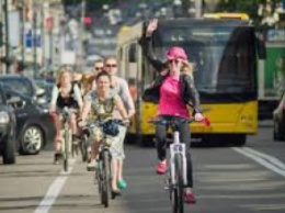 В Киеве для велолюбителей откроют школы по безопасности движения