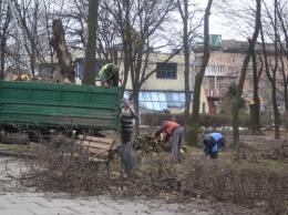 В центре Запорожья вырубят все деревья сквера - есть проект решения