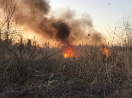 Двойной пожар: пожарные опять тушили огонь на Воронцовском пляже