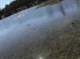В кадре: весеннее половодье на реке Орель (ФОТО)