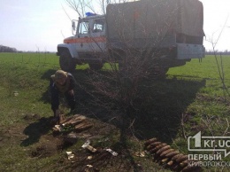 Под Кривым Рогом мужчина обнаружил почти полсотни боеприпасов