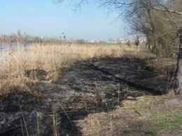 Как киевлянка пожар на озере Иорданском тушила (ФОТО)