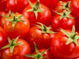 В Чехии вырастили помидоры на тепле от майнинговых ферм