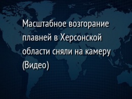 Масштабное возгорание плавней в Херсонской области сняли на камеру (Видео)