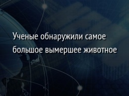 Ученые обнаружили самое большое вымершее животное