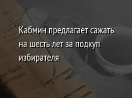 Кабмин предлагает сажать на шесть лет за подкуп избирателя