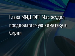 Глава МИД ФРГ Мас осудил предполагаемую химатаку в Сирии