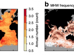 Количество аномально жарких дней в океане за последние 90 лет выросло в полтора раза
