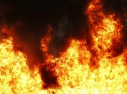 Из-за возгорания камыша в Северодонецке чуть не сгорели хозяйственные постройки
