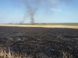 За сутки николаевские спасатели 8 раз тушили пожары на открытых территориях