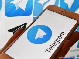 Журналисты Плющев и Кашин отстаивают Telegram в ЕСПЧ