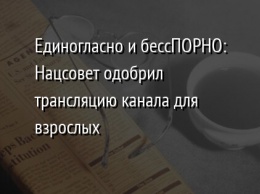 Единогласно и бессПОРНО: Нацсовет одобрил трансляцию канала для взрослых