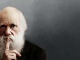 Американские специалисты нашли ошибку в теории Дарвина