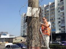 Корабельный район очищают от несанкционированной рекламы, - ФОТО