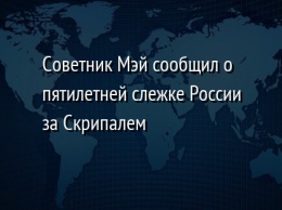 Советник Мэй сообщил о пятилетней слежке России за Скрипалем