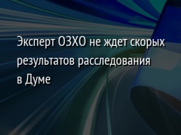 Эксперт ОЗХО не ждет скорых результатов расследования в Думе