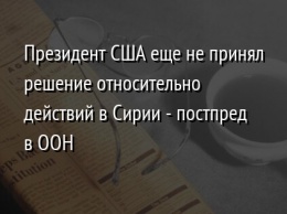 Президент США еще не принял решение относительно действий в Сирии - постпред в ООН