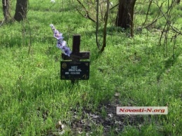 В парке «Дубки» жители Николаева устроили стихийное кладбище животных, на их могилах красуются кресты