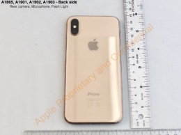 В сети появились фотографии настоящего золотого iPhone X