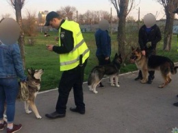 Патрульные оштрафовали несколько николаевцев, которые выгуливали животных без намордника