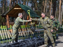 Во Львовской области высадили самую длинную липовую аллею в Украине