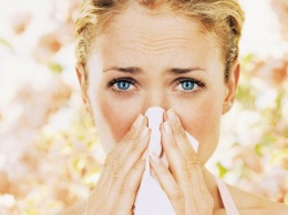 9 способов победить сенную лихорадку этой весной