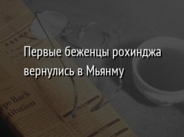 Первые беженцы рохинджа вернулись в Мьянму