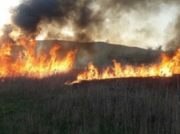 В Покрове произошел масштабный пожар в экосистеме (ФОТО)