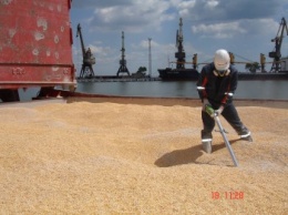 Фумигационный оператор из Мариуполя обработал 100 судов с зерном для Италии, Турции и Северной Африки (фото)