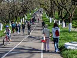 В мэрии думают запретить гироскутеры и другой электротранспорт на Трассе здоровья