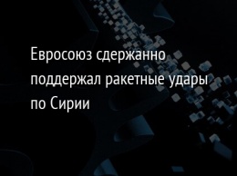 Евросоюз сдержанно поддержал ракетные удары по Сирии