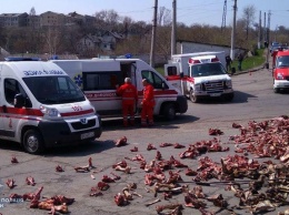 В Луганской области груженая костями фура столкнулась с маршруткой, 10 пострадавших. Фото