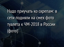 Надо приучать ко скрепам: в сети подняли на смех фото туалета к ЧМ-2018 в России (фото)