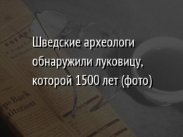 Шведские археологи обнаружили луковицу, которой 1500 лет (фото)