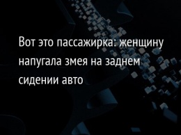 Вот это пассажирка: женщину напугала змея на заднем сидении авто