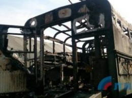 «Почему Урал сгорел, а палатка лишь подрана какими-то котами?», - соцсети обсуждают «обстрел» Луганска