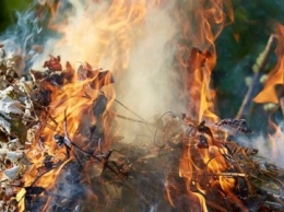 Жителей Днепропетровщины будут штрафовать за сжигание листьев