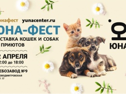 Центр реабилитации бездомных животных «Юна» проведет выставку собак и кошек из приютов
