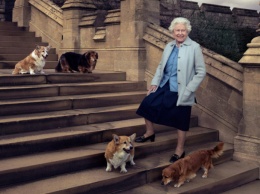 У королевы Елизаветы II умерла последняя собака породы корги