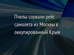 Пчелы сорвали рейс самолета из Москвы в оккупированный Крым