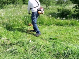В департаменте ЖКХ рассказали, кто и когда будет косить траву в Николаеве