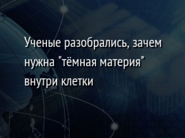 Ученые разобрались, зачем нужна "темная материя" внутри клетки