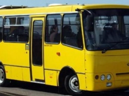 На дороги Каменского вышел новый автобусный маршрут