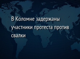 В Коломне задержаны участники протеста против свалки